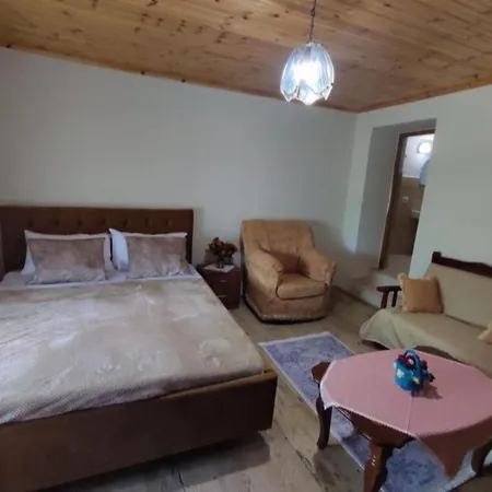 Gest House Felau Vakantiehuis *