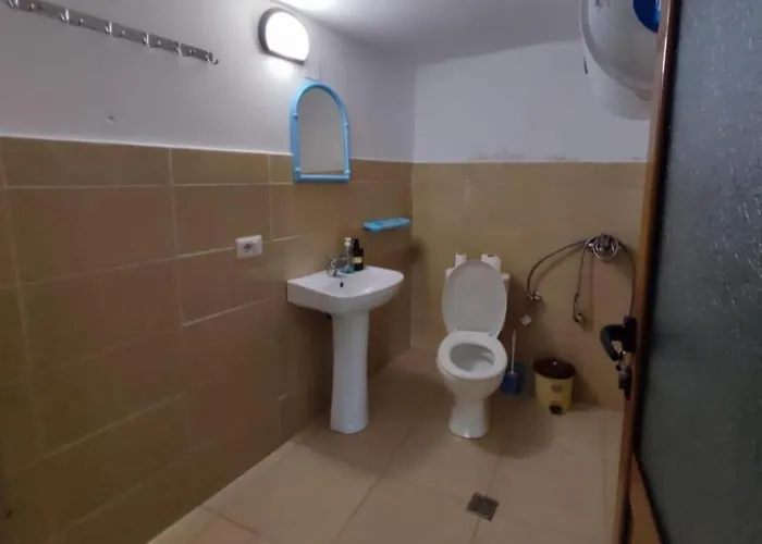 Gest House Felau