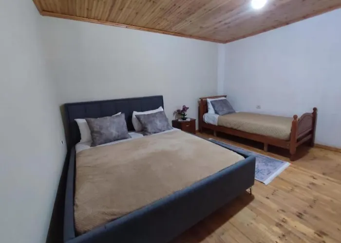 Gest House Felau Vakantiehuis