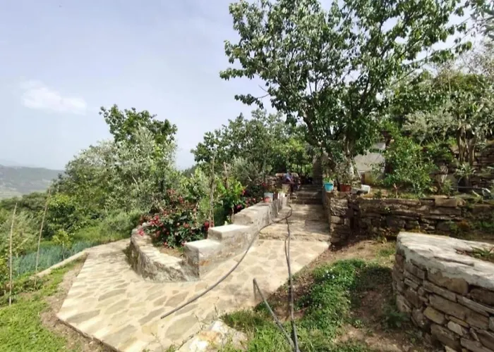 Gest House Felau Vakantiehuis *