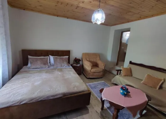 Gest House Felau Vakantiehuis *