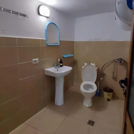 Gest House Felau