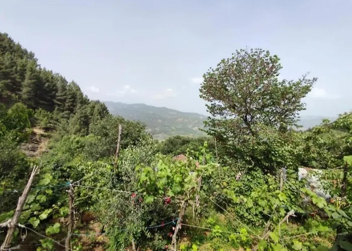 Gest House Felau * Përmet